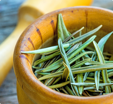 Oleuropein Rich Olive Leaf Extract.